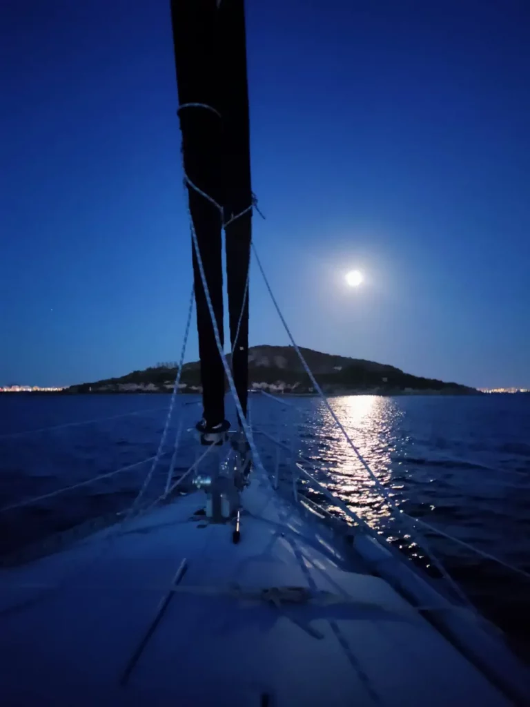 Explora el mar con Cisne Negro Charter